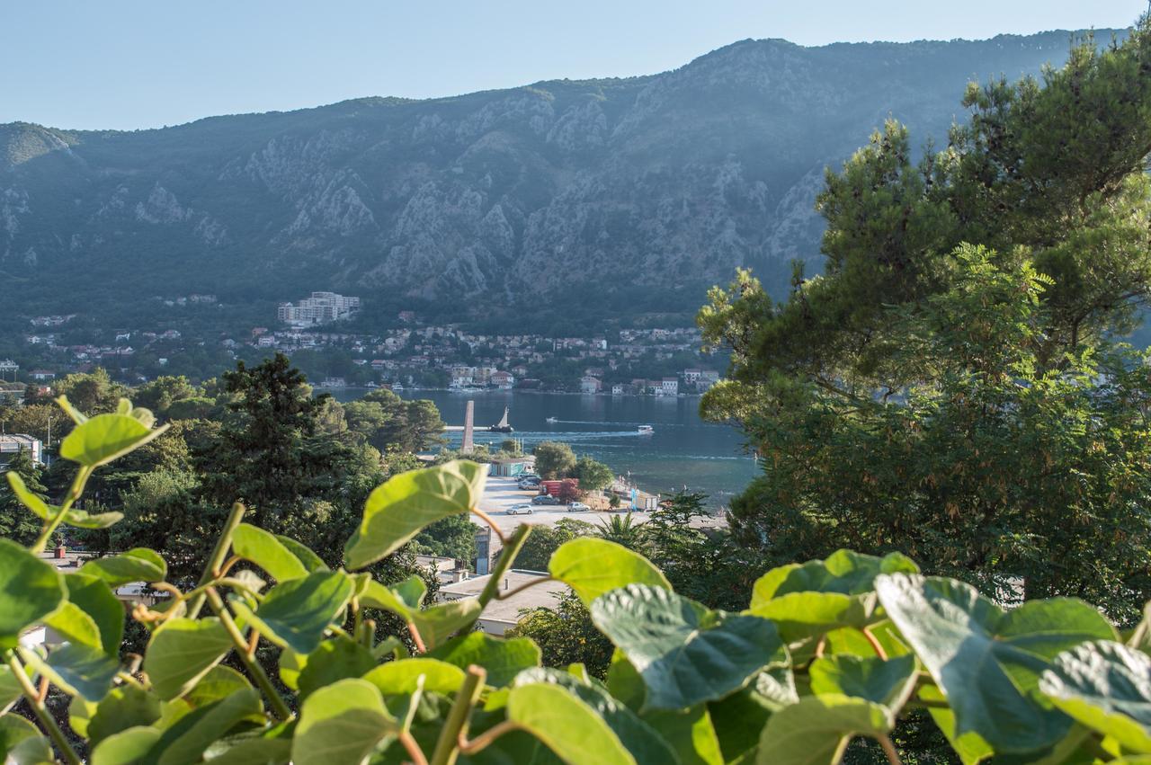 Apartment Kiwi Kotor Eksteriør billede