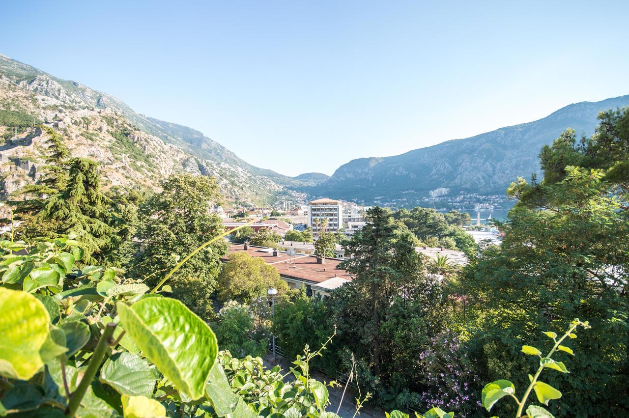 Apartment Kiwi Kotor Eksteriør billede